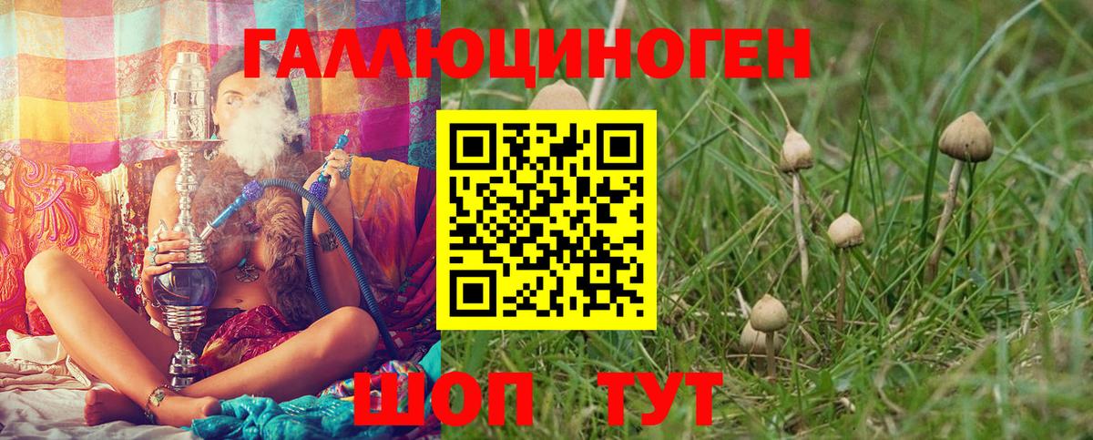 Сокол  Псилоцибиновые грибы ЛСД  Вход с VPN 